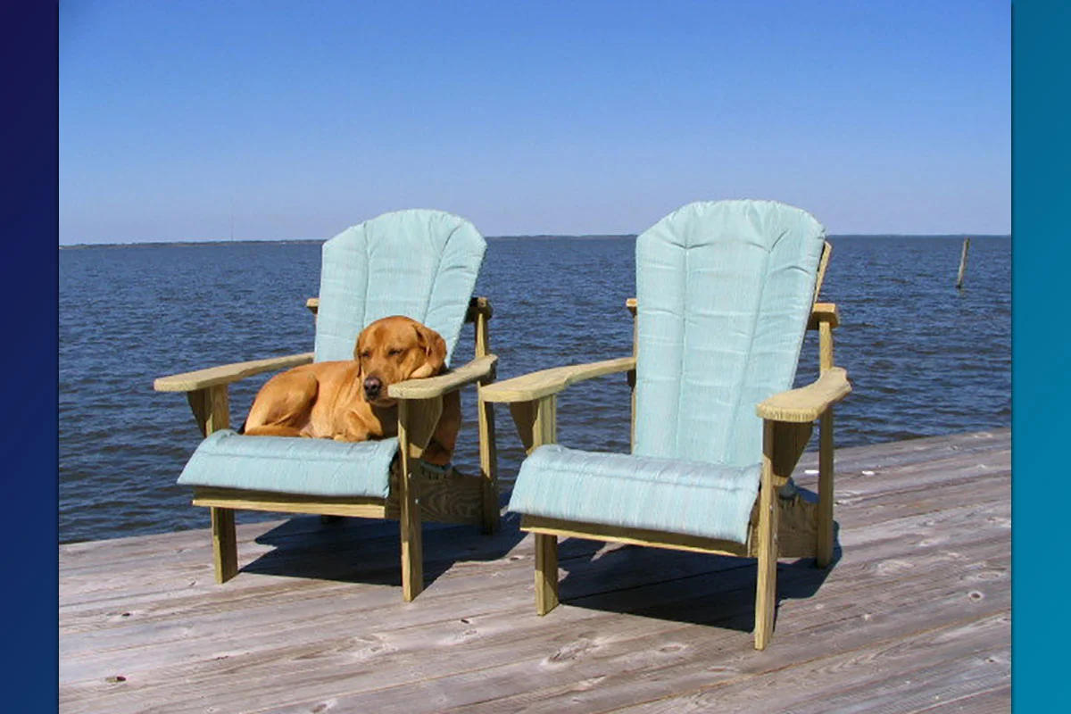Accessories - Chair Cushions